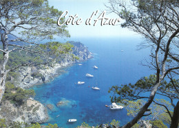 06-LA COTE D AZUR-N°4185-C/0087 - Altri & Non Classificati