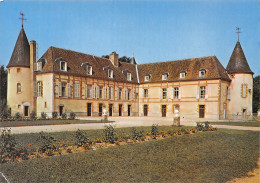 89-CHEVILLON LE CHATEAU-N°4185-B/0273 - Other & Unclassified