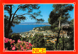 06-NICE-N°4185-B/0241 - Sonstige & Ohne Zuordnung