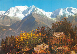 74-LE MONT BLANC-N°4185-B/0073 - Andere & Zonder Classificatie