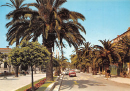 83-HYERES LES PALMIERS-N°4185-B/0029 - Hyeres