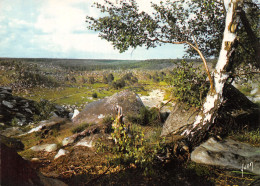 77-FONTAINEBLEAU-N°4186-B/0269 - Fontainebleau