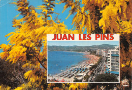 06-JUAN LES PINS-N°4186-B/0185 - Juan-les-Pins