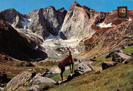 65-GLACIER DES OULETTES-N°4186-A/0399 - Sonstige & Ohne Zuordnung