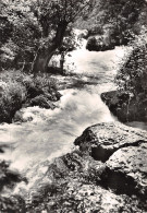 84-FONTAINE DE VAUCLUSE-N°4186-A/0015 - Sonstige & Ohne Zuordnung