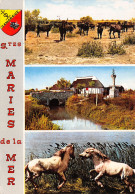 13-SAINTES MARIES DE LA MER-N°4187-A/0133 - Saintes Maries De La Mer