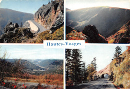 88-LES HAUTES VOSGES-N°4186-D/0073 - Autres & Non Classés