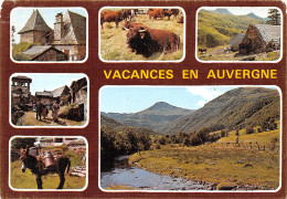 15-AUVERGNE-N°4186-D/0037 - Other & Unclassified