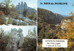 07-LE BOIS DE PAIOLIVE-N°4186-C/0085 - Altri & Non Classificati