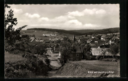 AK Meisburg A. Eifel, Ortsansicht Mit Kirche Und Pension Vanck  - Andere & Zonder Classificatie