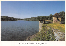 03-EN FORET DE TRONCAIS-N°4187-B/0293 - Otros & Sin Clasificación