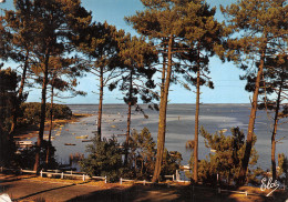 33-BASSIN D ARCACHON-N°4187-B/0103 - Altri & Non Classificati