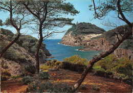 13-MEDITERRANEE-N°4187-A/0283 - Andere & Zonder Classificatie