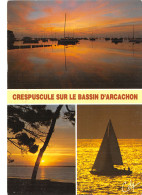 33-BASSIN D ARCACHON-N°4187-A/0267 - Altri & Non Classificati