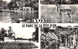 69-LYON-N°LP5133-F/0383 - Other & Unclassified