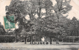 77-FONTAINEBLEAU LA FORET-N°LP5133-E/0143 - Fontainebleau