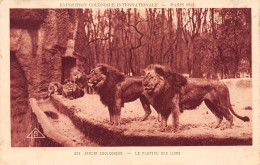 75-PARIS EXPO COLONIALE INTERNATIONLE ZOO-N°4188-D/0081 - Expositions