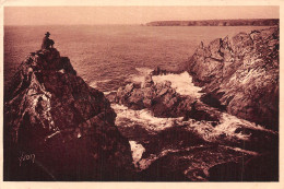 29-POINTE DU RAZ-N°LP5134-A/0343 - Sonstige & Ohne Zuordnung