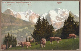 CPA SUISSE - MÜRRENBAHN - GRÜTSCHALP - MÜRREN - TB PLAN  Paysage De Montagne + Troupeau Vaches Oblitération - Mürren