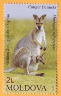 2013 Moldova Moldavie Moldau  Zoo, Chisinau Kangaroo 1v Mint - Moldawien (Moldau)