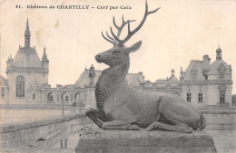 60-CHANTILLY LE CHATEAU-N°LP5134-D/0171 - Chantilly