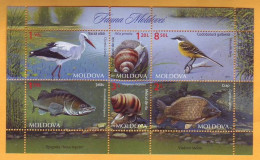 2014 Moldova Moldavie Moldau  Animals. Fauna. Stork. Wagtail. Carp. Perch. Snail  6v Mint - Moldova