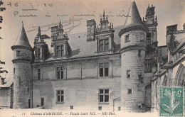 37-AMBOISE-N°LP5134-B/0249 - Amboise