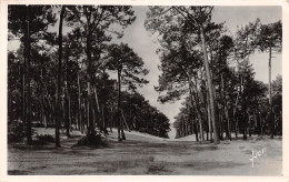 33-ARCACHON-N°4188-G/0151 - Arcachon