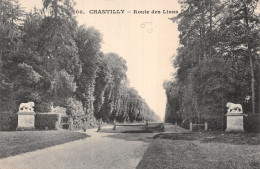 60-CHANTILLY-N°LP5134-E/0189 - Chantilly