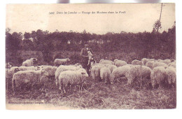 40 - LANDES - PACAGE Des MOUTONS Dans La FORÊT - ANIMÉE - - Andere & Zonder Classificatie