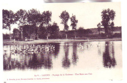 40 - LANDES - PAYSAGE De LACHALOSSE - Une MARE Aux OIES - ANIMÉE - - Autres & Non Classés