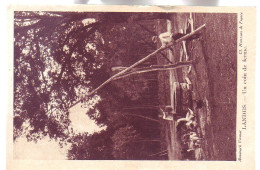 40 - LANDES - Un COIN De FERME - ANIMÉE - - Other & Unclassified