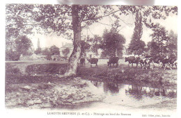 41 - LAMOTTE-BEUVRON - PÂTURAGE Au BORDS Du BEUVRON - - Lamotte Beuvron