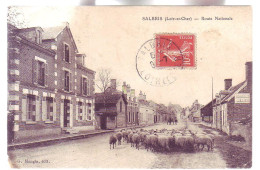 41 - SALBRIS - ROUTE NATONALE - TROUPEAU De MOUTON - ANIMÉE - - Salbris