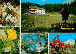 72792054 Gross Veitsch Alpengasthof Scheikl Edelweiss Almrausch Enzian  Veitsch - Sonstige & Ohne Zuordnung