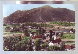 73 - VIONS - VUE GÉNÉRALE - COLORISÉE - - Sonstige & Ohne Zuordnung