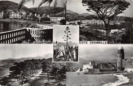 66-COTE VERMEILLE-N°4189-F/0039 - Other & Unclassified