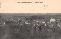 45-CHATILLON COLIGNY-N°LP5135-C/0081 - Chatillon Coligny