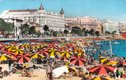 06-CANNES-N°LP5135-B/0245 - Cannes