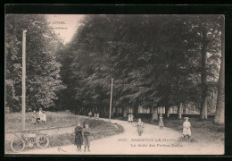 CPA Sassetot-le-Mauconduit, La Route Des Petites-Dalles  - Otros & Sin Clasificación