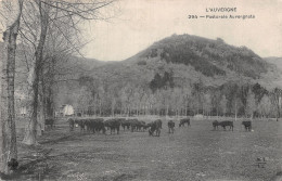 63-AUVERGNE PASTORALE AUVERGNATE-N°LP5135-F/0123 - Andere & Zonder Classificatie