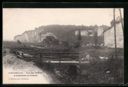 CPA Tancarville, Vue Des Falaises Et Ensemble Du Chateau  - Tancarville