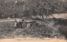 49-SAUMUR ECOLE DE CAVALERIE-N°LP5135-E/0265 - Saumur