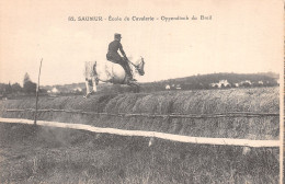 49-SAUMUR ECOLE DE CAVALERIE-N°LP5135-E/0263 - Saumur