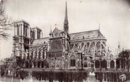 75-PARIS NOTRE DAME-N°4190-C/0183 - Notre-Dame De Paris