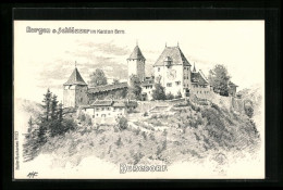 Künstler-AK Burgdorf, Blick Auf Die Historische Burg  - Autres & Non Classés