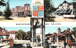 64-SALIES DE BEARN-N°4190-A/0251 - Salies De Bearn