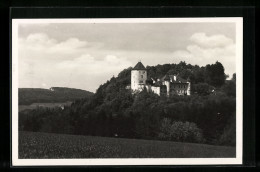 AK Wildenstein B. Bubendorf Im Baselland, Blick Zum Schloss  - Other & Unclassified