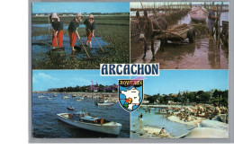 ARCACHON 33 - Les Maraichers Ane Dans Les Marais Avec Charrette Bateau De Pêche Plage 1978 - Arcachon