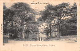 75-PARIS JARDIN DES PLANTES-N°4190-D/0273 - Parks, Gardens